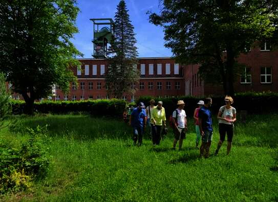 Eine Gruppe von Menschen, die über eine Wiese wandern, im Hintergrund ein Gebäude.