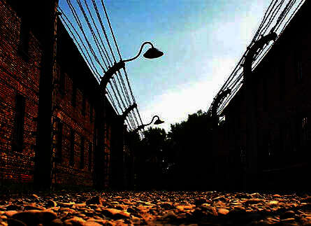 Ausschwitz, Desertationslager