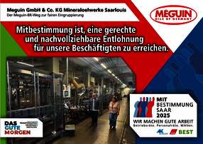 Mitbestimmung Plakat Meguin