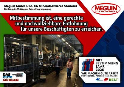 Mitbestimmung Plakat Meguin